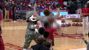 吉祥物“杀手”洛佩慈