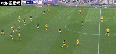 恩戈尔破门扳平比分，中央海岸水手1-1惠灵顿凤凰