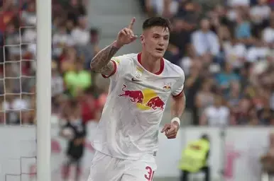 纽卡成功截胡曼联签下谢什科