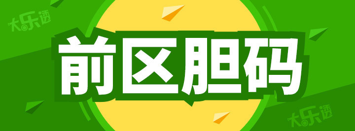 前区胆码专栏